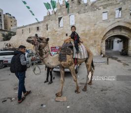 مراجيح العيد (5)