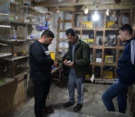 سوق الطيور (7)