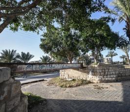 سكة (7)
