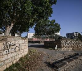 سكة (6)