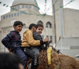 مراجيح العيد (16)