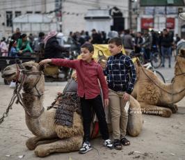 مراجيح العيد (15)
