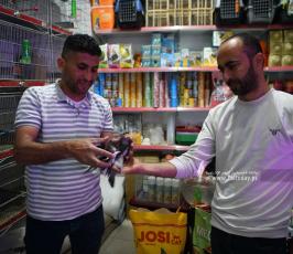 سوق الطيور (22)