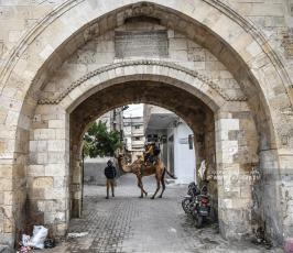 مراجيح العيد (12)