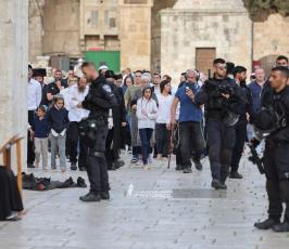 مستوطن اقتحموا المسجد الأقصى  (2)