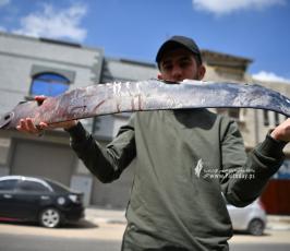 جناح الطائرة (1)