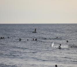  شاطئ بحر غزة المتنفّس الوحيد لأهالي القطاع المحاصر (3)