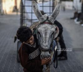 قصة حسن (2)
