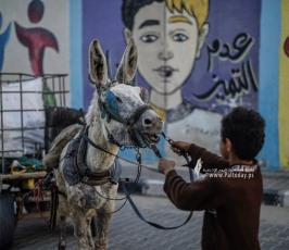 قصة حسن (9)