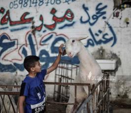 اطفال العيد (7)