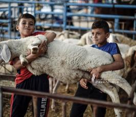 اطفال العيد (28)