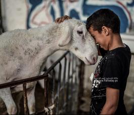اطفال العيد (29)