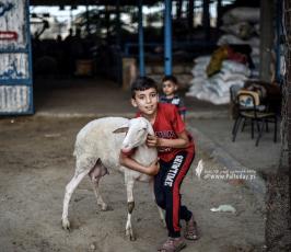 اطفال العيد (30)
