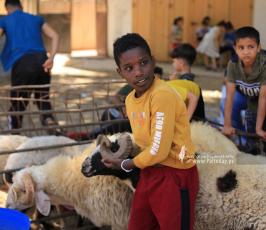  استعدادات المواطنين بمدينة غزة  لاستقبال عيد الأضحى المبارك  (12)