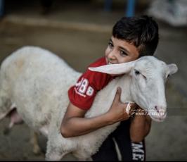 اطفال العيد (31)