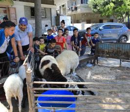  استعدادات المواطنين بمدينة غزة  لاستقبال عيد الأضحى المبارك  (2)