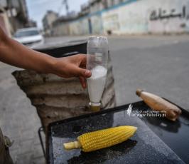 بائعي الذرة (13)
