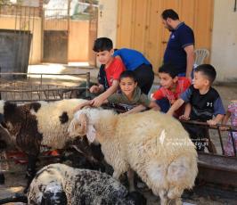  استعدادات المواطنين بمدينة غزة  لاستقبال عيد الأضحى المبارك  (11)