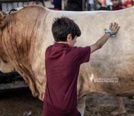 اطفال العيد (2)
