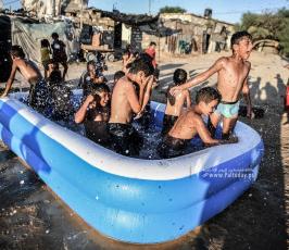 سباحة (18)