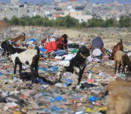 النبش في القمامة.. مهنة جديدة لفقراء غزة (12)