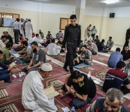 نزلاء (5)