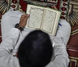 نزلاء (14)