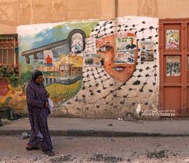 آثار العدوان الإسرائيلي على جنين (9)