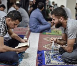 نزلاء (17)
