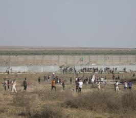 جماهير حاشدة تشارك في فعالية إحياء ذكرى إحراق الأقصى الـ54 بمخيم ملكة شرقي مدينة غزة (12)