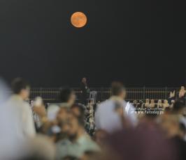 صفوةا الحفاظ2 (25)