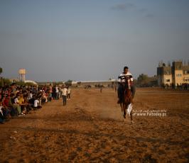 صابية الخيل (17)