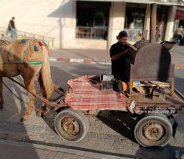 بطاطا (5)