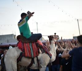 صابية الخيل (1)