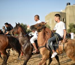 صابية الخيل (5)