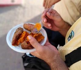 بطاطا (10)