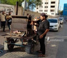 بطاطا (6)