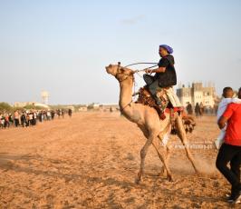 صابية الخيل (16)