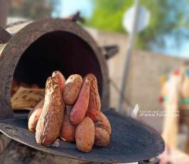 بطاطا (2)
