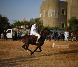 صابية الخيل (9)