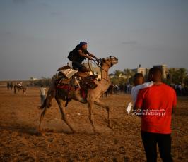 صابية الخيل (15)