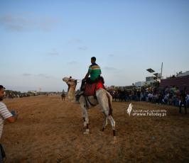 صابية الخيل (18)