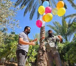 بالونات حارقة (6)