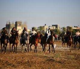 صابية الخيل (12)