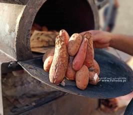 بطاطا (1)