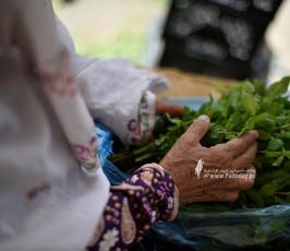 سيدات السوق (4)