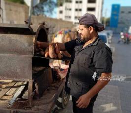بطاطا (11)