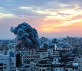 برج فلسطين (13)