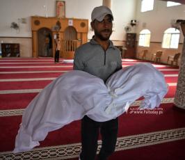 الناجية الوحيدة (2)