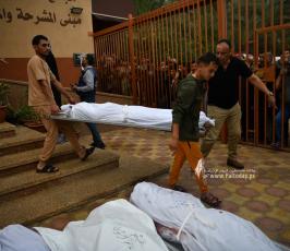 طوفان الأقصى (17)
